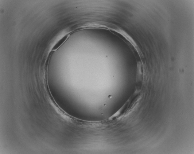 X0000070340909200606231529