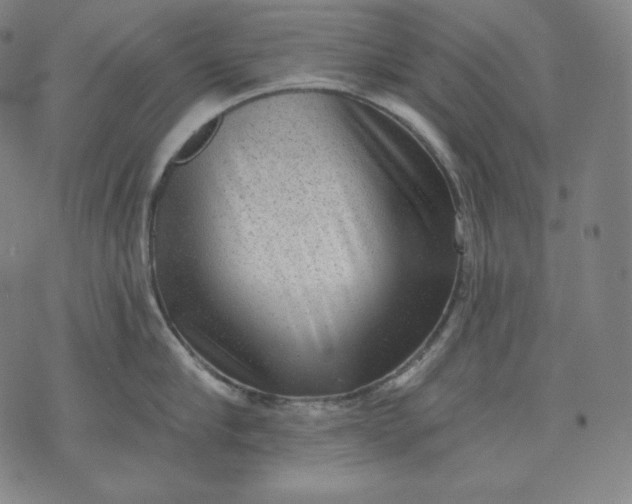 X0000070340910200606231529