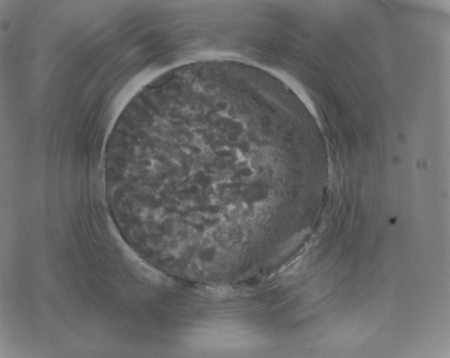 X0000070340911200606231529