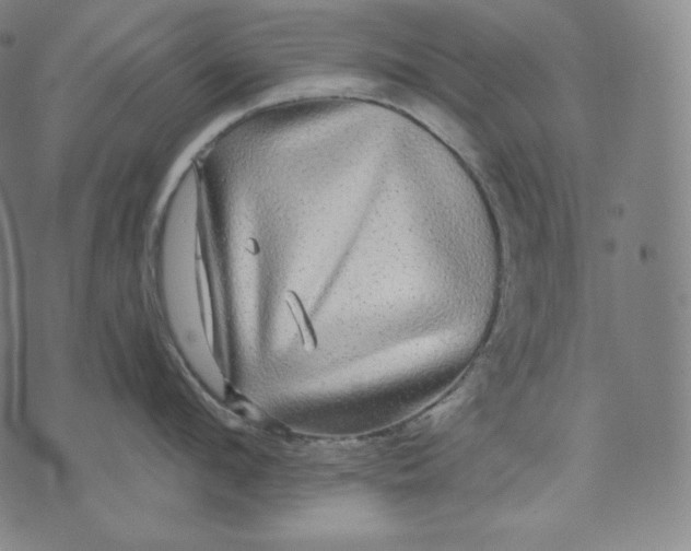 X0000070340912200606231529