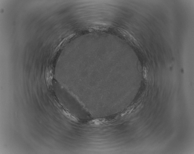 X0000070340915200606231528