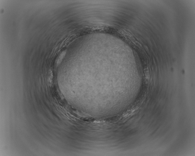 X0000070340916200606231528