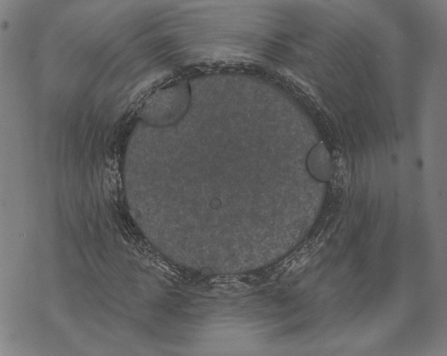 X0000070340918200606231528