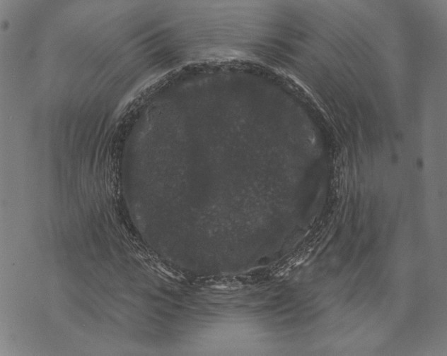 X0000070340919200606231528