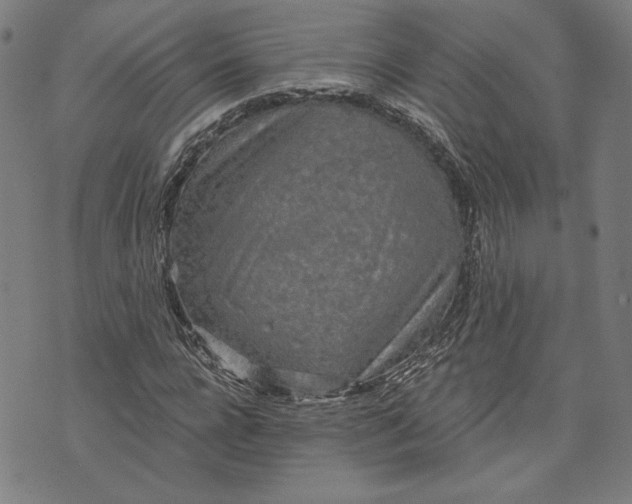 X0000070340920200606231528