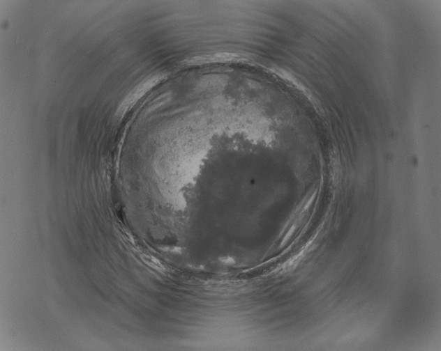 X0000070340921200606231528