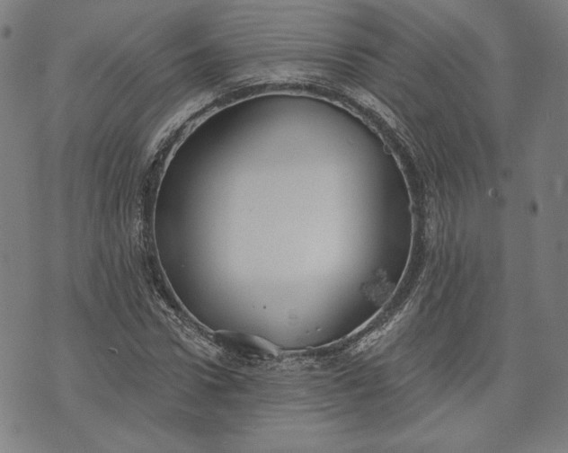 X0000070340922200606231528