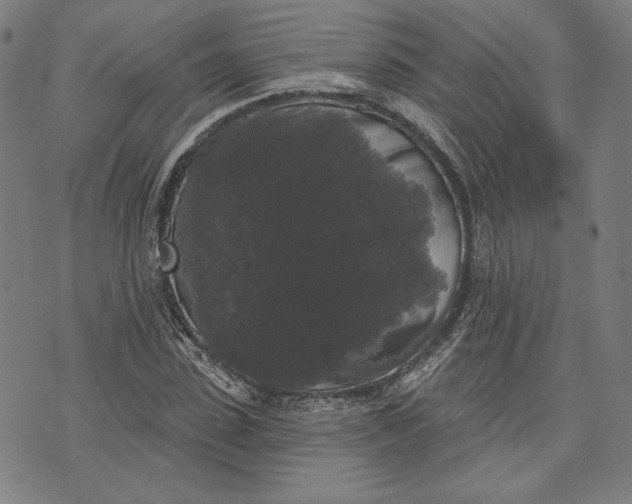 X0000070340923200606231528