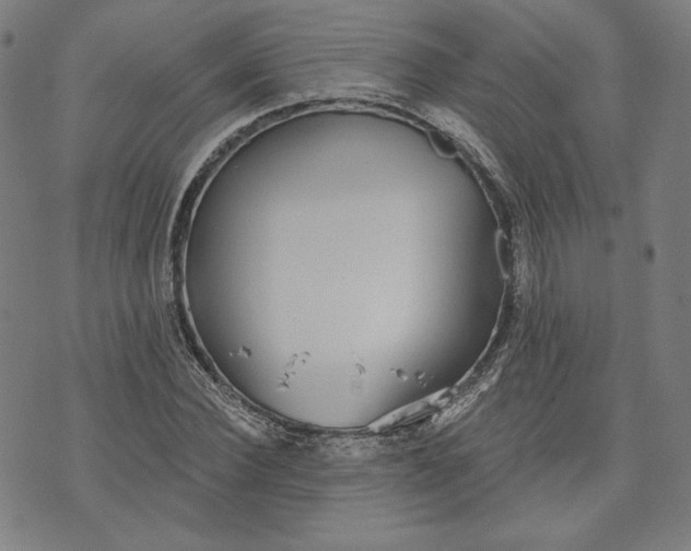 X0000070340924200606231528