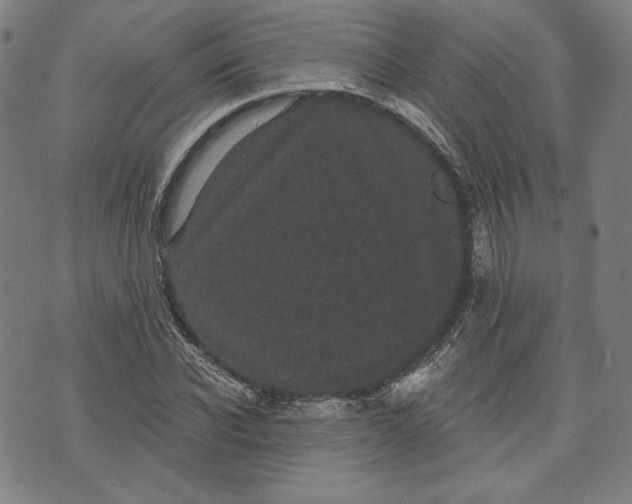 X0000070340926200606231528