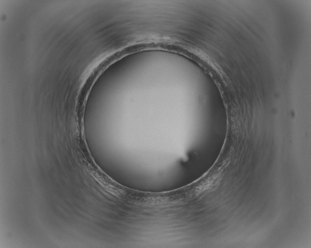 X0000070340927200606231528