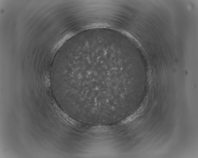 X0000070340929200606231528