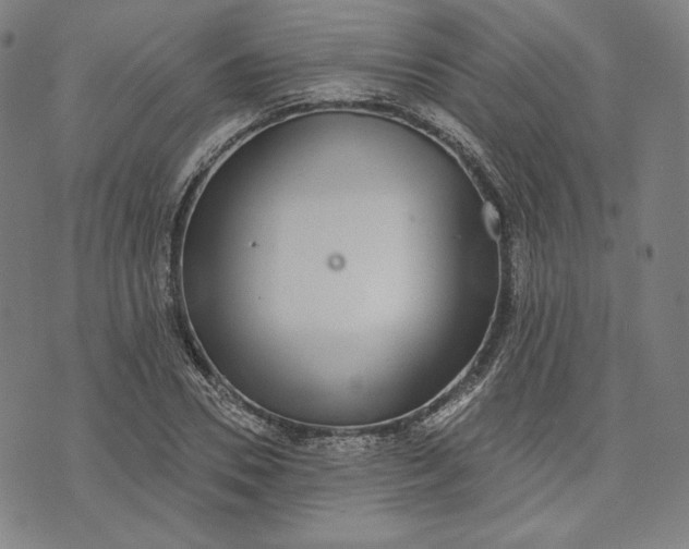 X0000070340930200606231528