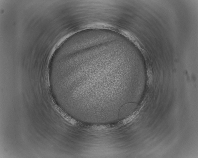 X0000070340931200606231528