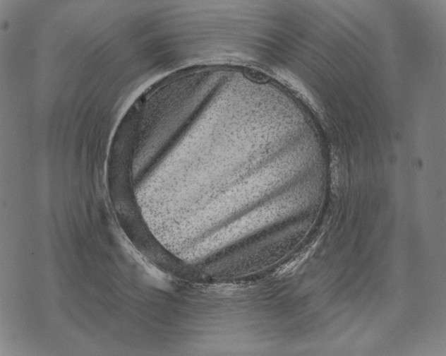 X0000070340932200606231528