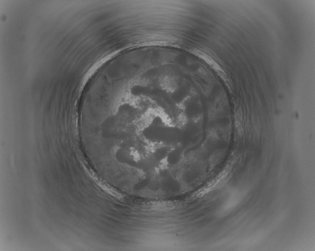 X0000070340933200606231528