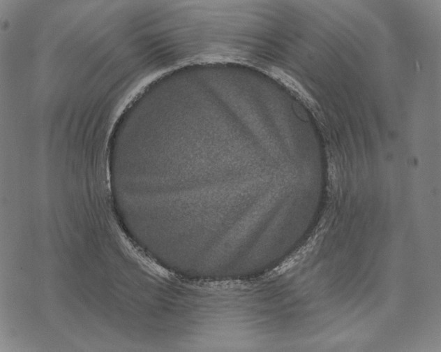 X0000070340934200606231528