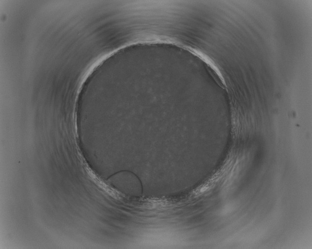 X0000070340935200606231529