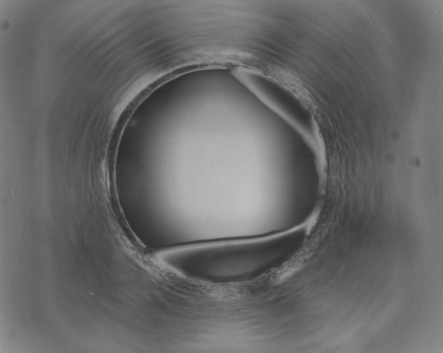 X0000070340936200606231529