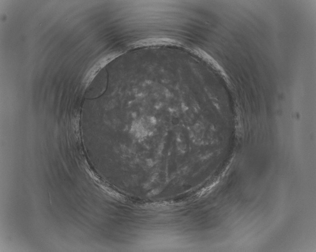 X0000070340937200606231529