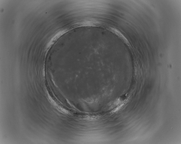 X0000070340938200606231529