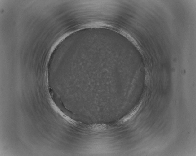 X0000070340939200606231529