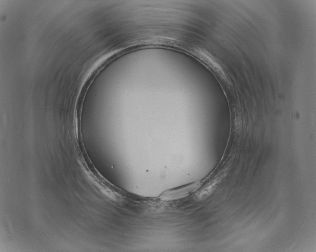 X0000070340940200606231529