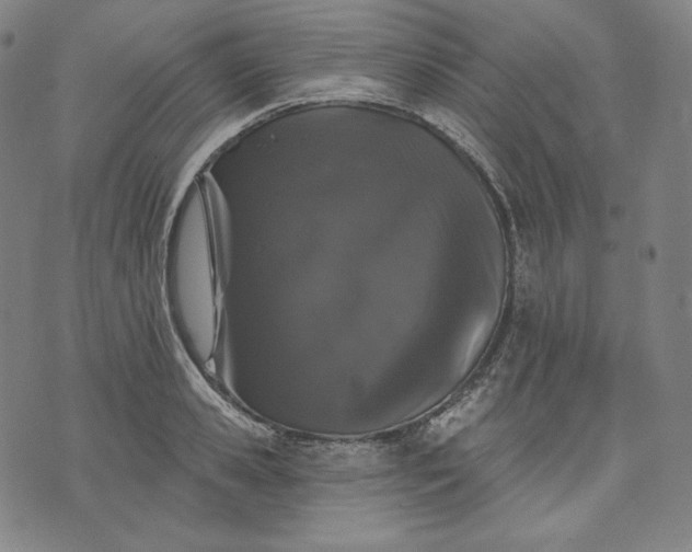 X0000070340941200606231529