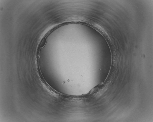 X0000070340942200606231529