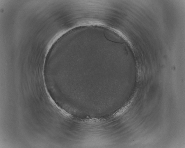 X0000070340943200606231529