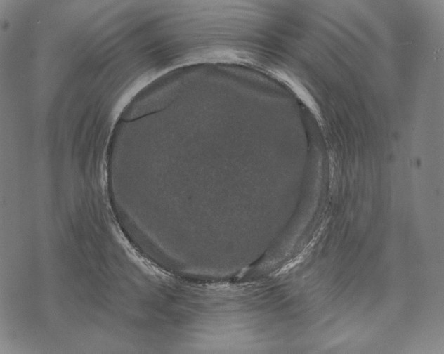 X0000070340944200606231529