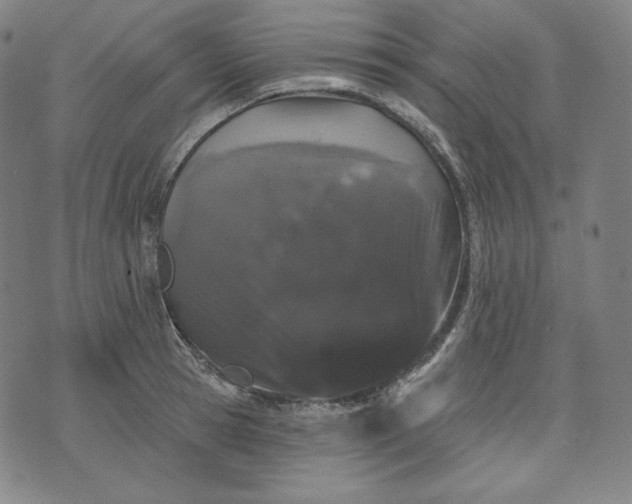 X0000070340945200606231529