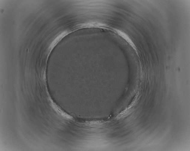 X0000070340946200606231529