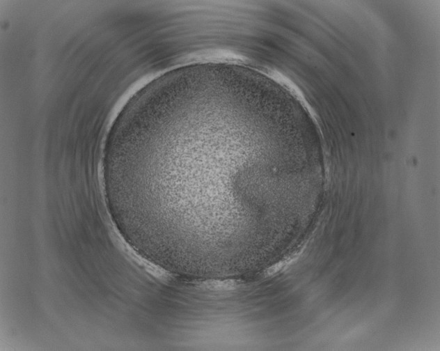 X0000070340947200606231529