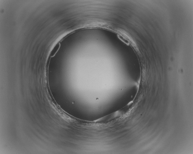 X0000070340948200606231529