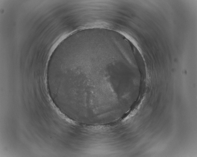 X0000070340949200606231529