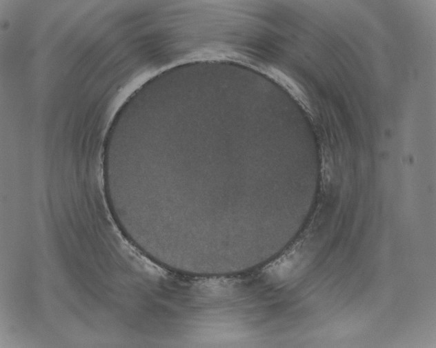 X0000070340950200606231529