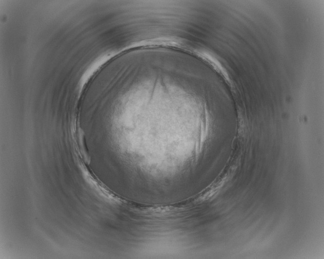 X0000070340952200606231529