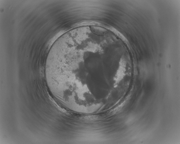 X0000070340953200606231529