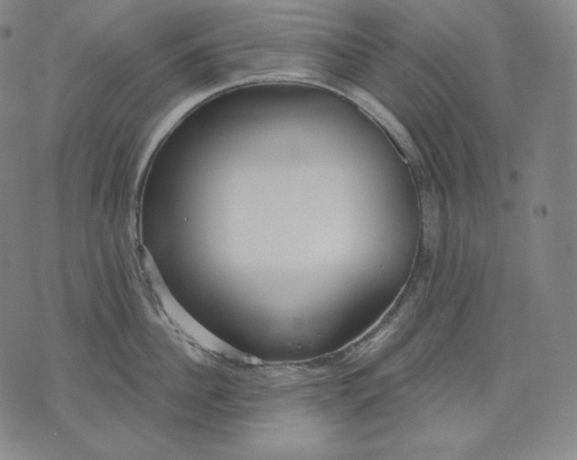 X0000070340956200606231529