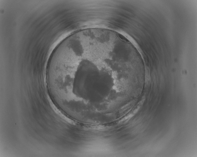 X0000070340957200606231529