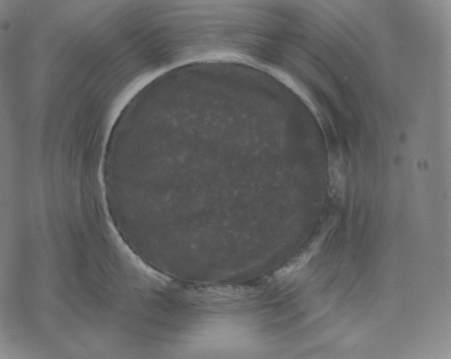 X0000070340959200606231529