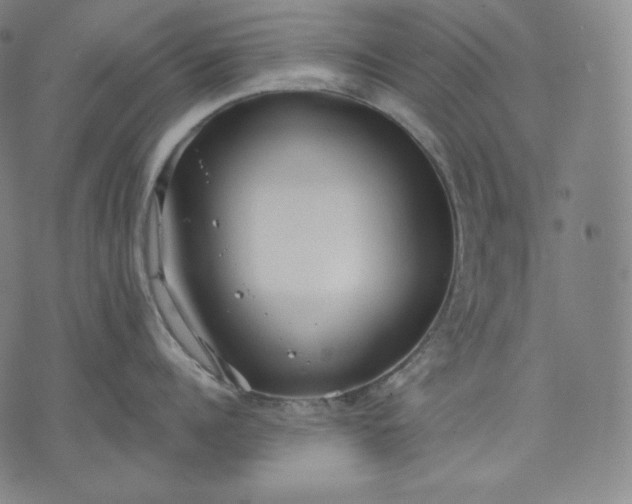 X0000070340960200606231529