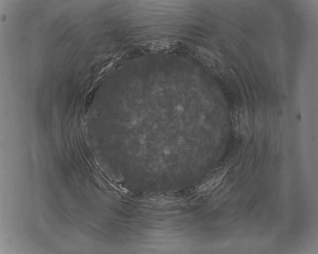 X0000070340962200606231528