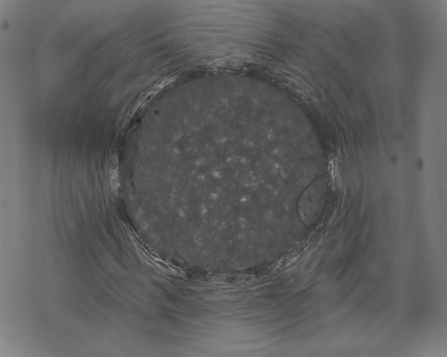 X0000070340963200606231528