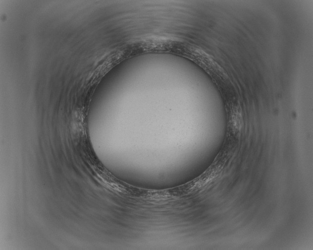 X0000070340964200606231528