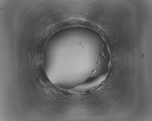 X0000070340965200606231528