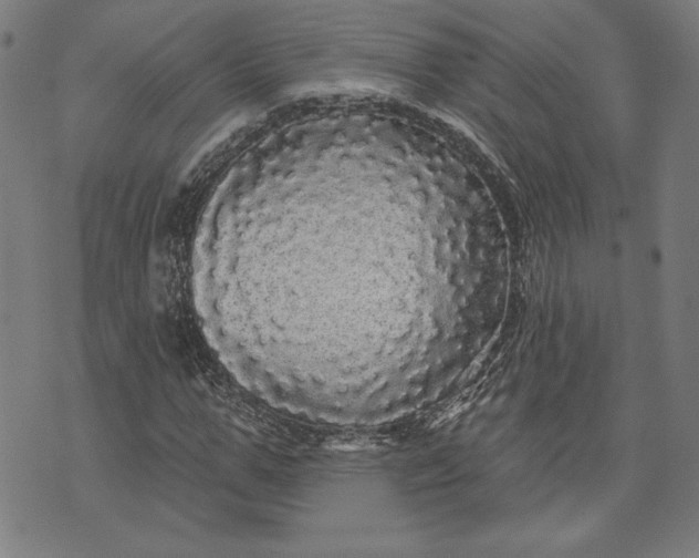 X0000070340967200606231528