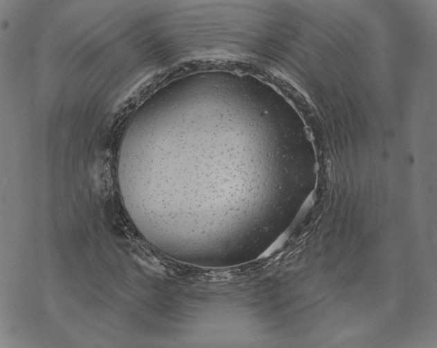 X0000070340968200606231528