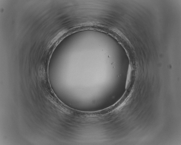 X0000070340969200606231528